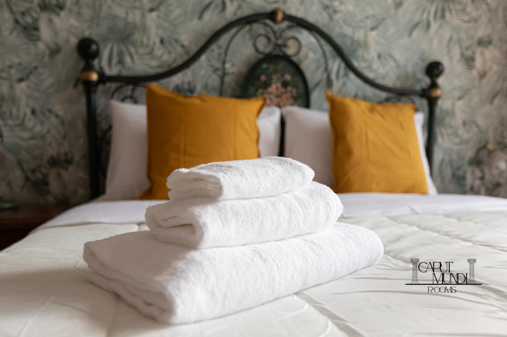Caput Mundi Rooms - 100Mt To Metro A, Terrace, A-C, 15 Min To Center 罗马 外观 照片